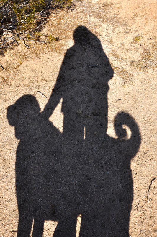 Me & My Shadow 