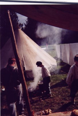 McIver 2001