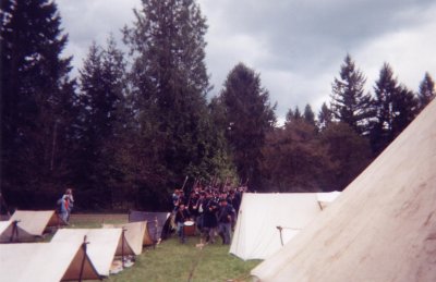 McIver 2001