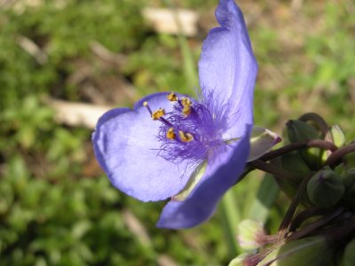 DSCN3680.JPG