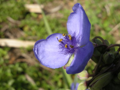DSCN3681.JPG