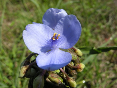 DSCN3707.JPG