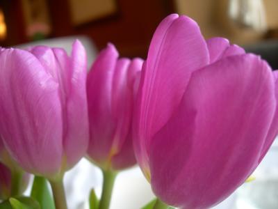 DSCN1378.JPG
