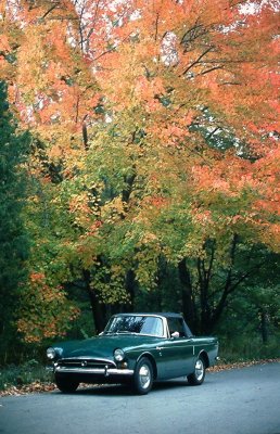 Sunbeam Tiger: The Beginning of the Project