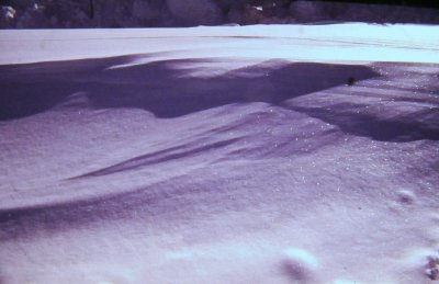 Blizzard of '78