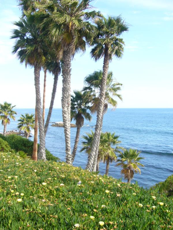 Laguna Beach