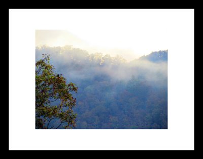 IMG_3911.JPG