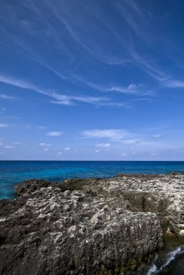IMG_3947.JPG