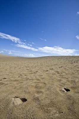 g4/72/297872/3/145312784.LGSbNHeo.jpg