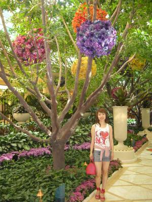 Wynn hotel