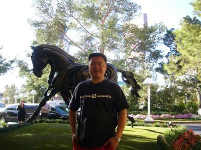 Wynn hotel