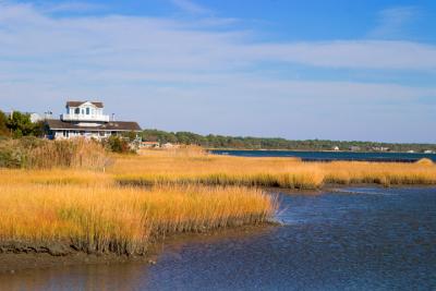 [NOVEMBER 2005] A view of the wetlands from the north side of Chincoteague