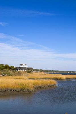 [NOVEMBER 2005] A view of the wetlands from the north side of Chincoteague