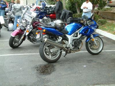 Michael Woo's SV 650