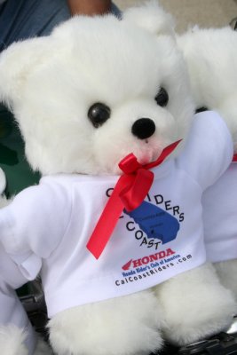 what a cute bear!
