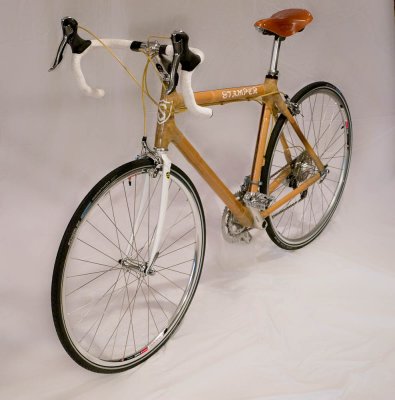 Gallery: Paul & David's Bamboo Bike