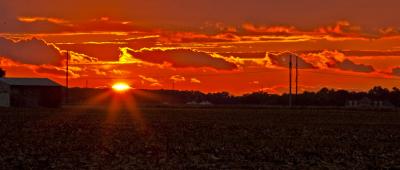 Sunset over the cornfield, Bombay Hook NWR, Delaware