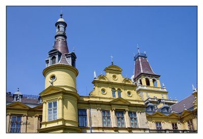 IMGP6594