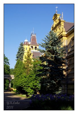IMGP6694