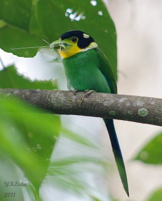 IMGP9227