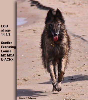 Lou1285w.jpg