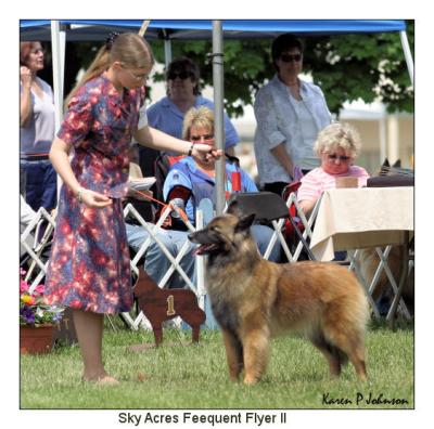Sky Acres Frequent Flyer II