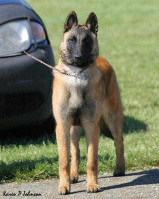 6 months old