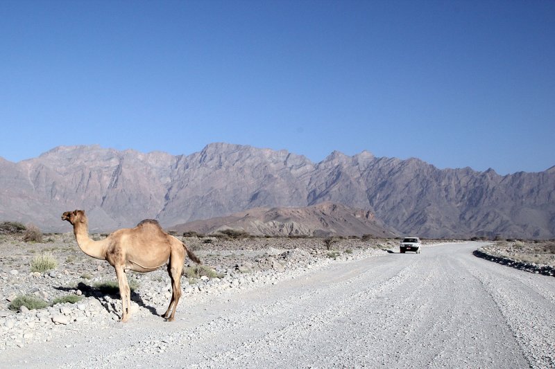 Wadi Mistal 53