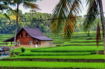 Villa Ibu - Ubud Bali