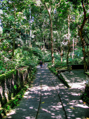 Bali - Ubud - Monkey Forest