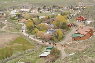 Horses Begin Ascent of Hills