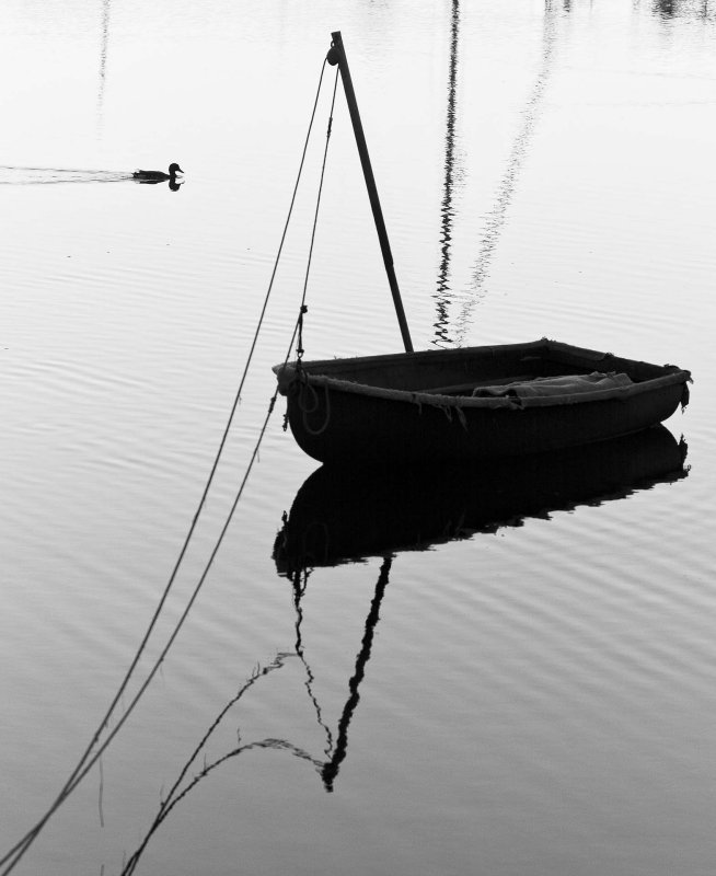 pbase tranquil July 1 2011  1 of 1.jpg