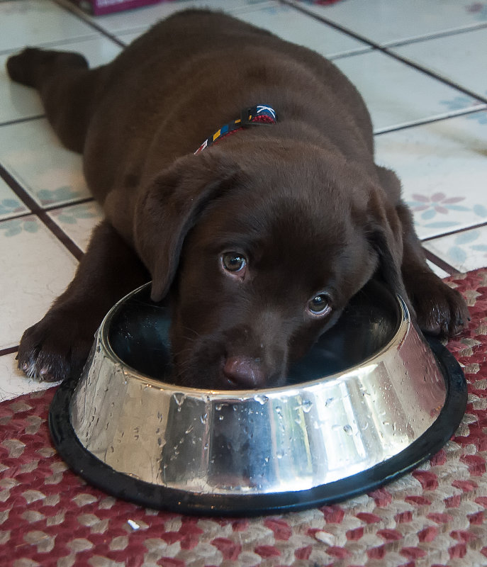 She loves water  July 9 2012 day 3.jpg