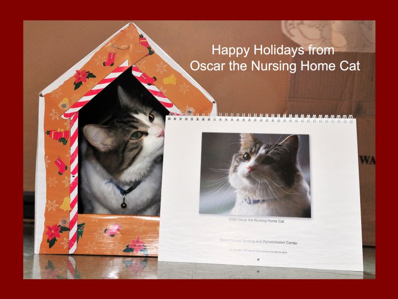 Happy Holidays from Oscar the cat.jpg