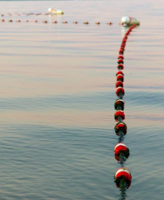 pbase Buoys Barrington beach L1036205 August 17 2011 1 of 1.jpg