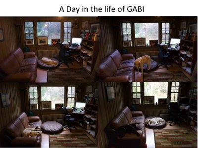 Day in Life of Gabi .jpg