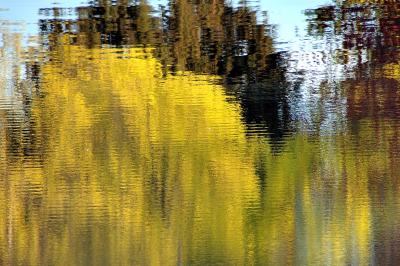Pbase Abstract reflection processed on May 7 2006.jpg