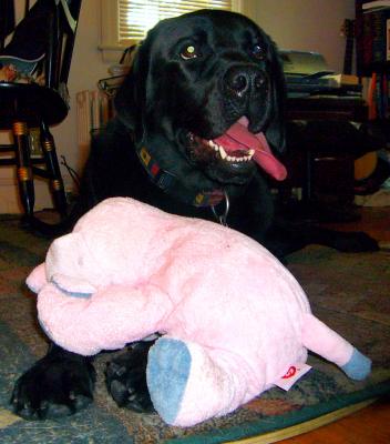 Shes home July 2 2006.jpg