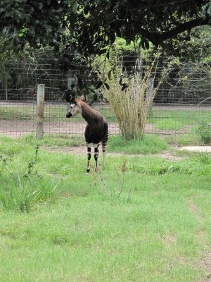 IMG_1758.jpg