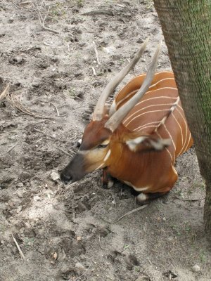 IMG_1766.jpg