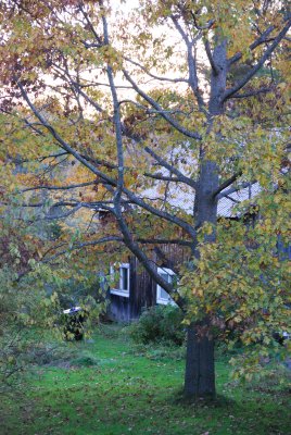 Knowlton, Lac Brome