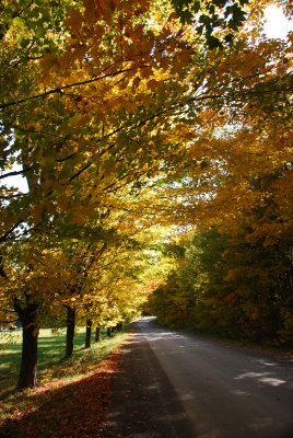 Road to Eccles Hill, QC