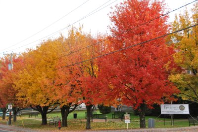 Autumn glory, Knowlton, QC