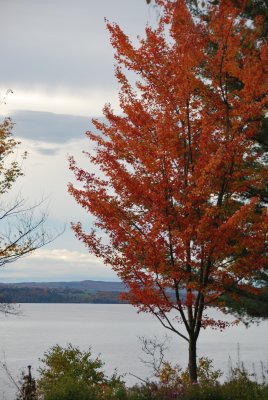 Early morning, Manoir Hovey, North Hatley, QC