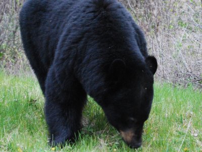 ...and got closer and...