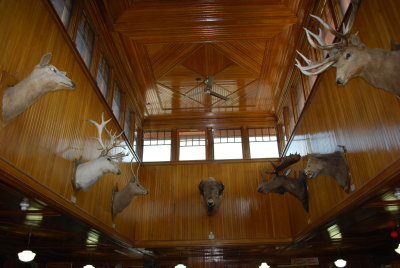 Banff Park Museum