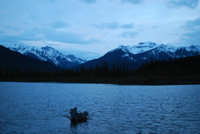 Early evening, Vermillion Lakes