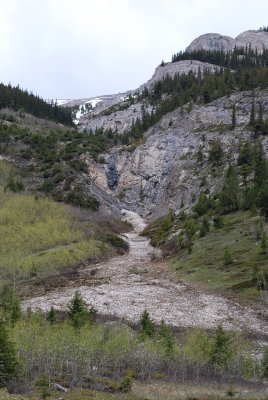 Avalanche run out zone