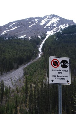 Avalanche run out zone