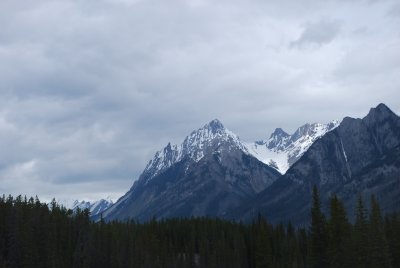 Road to Lake Louise, Bow Valley